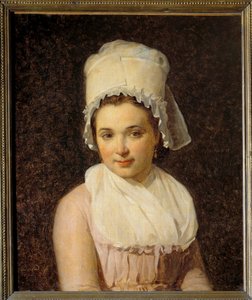 Portrét Catherine Marie Tallardové (1772-1825) manželky Francoise Lamyho, starosty Sougeres v obraze Yonne od Jacquese Louise Davida (1748-1825) 1795 Sun. 0,64x0,54 m - Portrét Catherine Marie Tallardové (1772-1825), manželky Francoise Lamyho, starosty Sou od Jacques Louis David