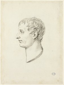 Profil Napoleona od Jacques Louis David