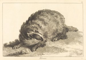 Blereau (jezevec)