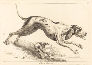 Chien courent (běhající honič)