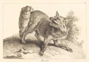Renard (liška)