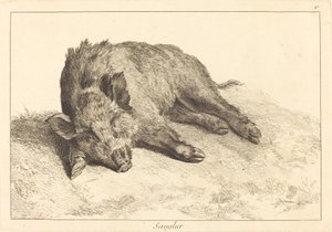Sanglier (Divočák vleže, zamiřte doleva)