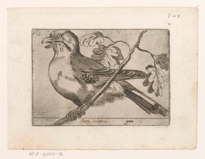 Gaai Gaio (název na objektu) Vogels (název série) od Jacques de Fornazeris (possibly)