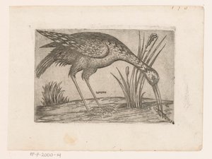Vogel Tartena (název na objektu) Vogels (název série) od Jacques de Fornazeris (possibly)