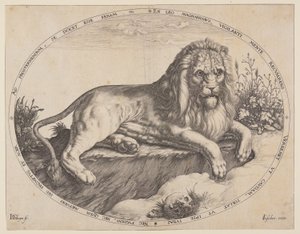 Den Grooten Leeuw (Velký lev). od Jacques de Gheyn II