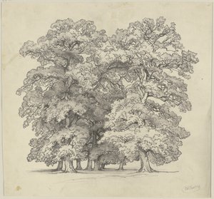  od Jakob Becker