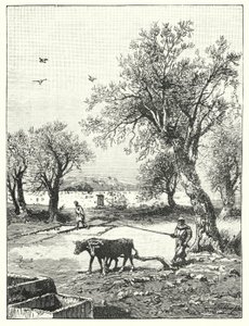 Orba ve vinici (litho) od James (after) Clark