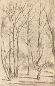 The Dam Wood, 1875. od James Abbott McNeill Whistler