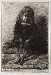 Dvanáct leptů z přírody, 1858. od James Abbott McNeill Whistler