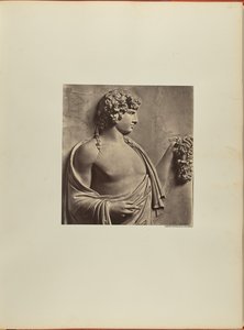 Antinous, basreliéf města Albani od James Anderson
