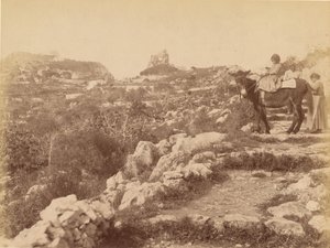 Capri [dítě na mule]