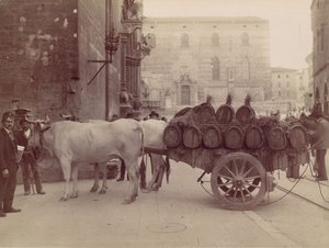 Vůz s voly, Perugia, 80. léta 19. století.