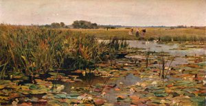 Lekníny, c1870