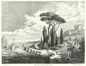Villa d