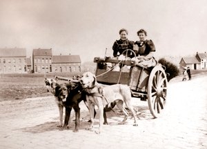 Psi táhnoucí ženy na voze, Antverpy, 1898.
