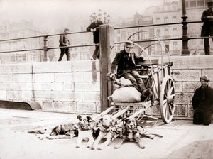 Muž s psím vozíkem, Antverpy, 1898. od James Batkin