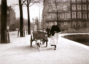 Žena s psím vozíkem, Rotterdam, 1898.