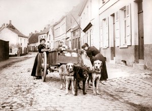 Ženy a psí vozík, Antverpy, 1898