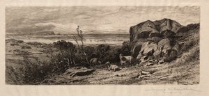 V Marblehead Neck