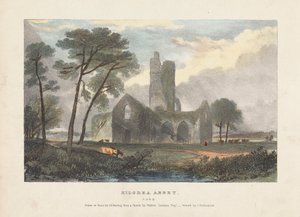 Kilcrea Abbey od James Duffield Harding