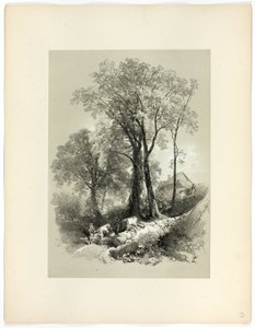 Shipley Bridge, Devon, z Picturesque Selections od James Duffield Harding