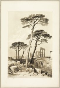 Stone Pines, z parku a lesa od James Duffield Harding