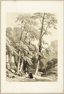 Sycamore, z The Park and the Forest od James Duffield Harding