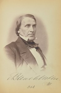 Elihu B. Washburne od James Earle McClees