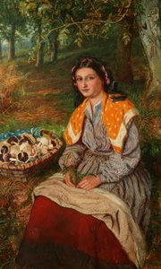 Sběrač hub od James Edgar