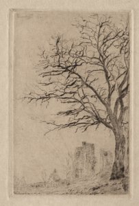 Akácie od James Ensor
