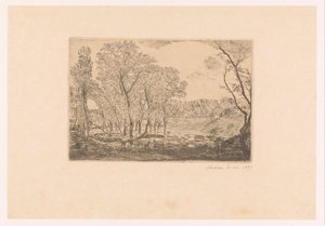 Krajina s topoly u vody La mare aux peupliers od James Ensor