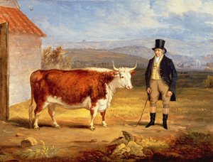 Pan James Hodges a jeho dvouletá herefordská jalovice, asi 1843 od James Flewitt Mullock