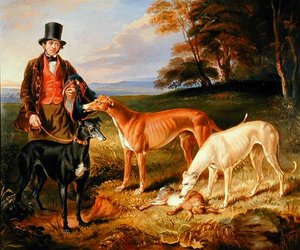 Thomas Harris, Kennel-Man Toma Llewelyna Brewera, s Greyhoundy