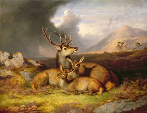 Highland Felicity, Ben Lebrig v pozadí