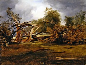 Blasted Oak (olej na palubě)