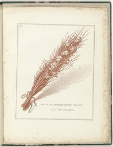 Pohroma prozatímních zástupců lidu Holandska, 1795 Někteří ze zástupců lidu Holandska (titul na předmětu) Hollandia Regenerata (název série)