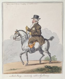 Skotský medvídek, běžně nazývaný Galloway, vydala Hannah Humphrey v roce 1803 (ručně kolorovaný lept)