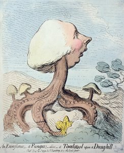 Výrůstek; houba; Alias - Muchomůrka na kopci hnoje, publikovala Hannah Humphrey v roce 1791 (lept s wc)