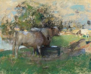 Pastvina (pastel na papíře)