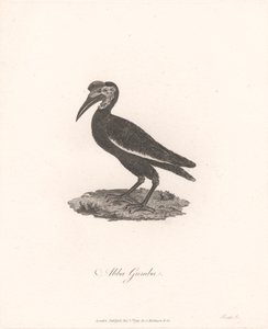 Tlačítko ABBA od James Heath