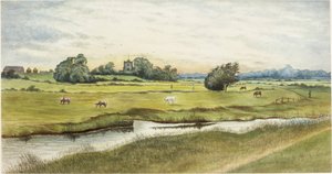 Ryton Meadows (akvarel a tělová barva na papíře)
