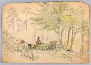 Woodland Camp