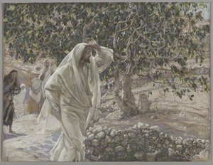 The Accursed Fig Tree, ilustrace ze Života našeho Pána Ježíše Krista, 1886-94 (wc přes grafit na papíře) od James Jacques Joseph Tissot
