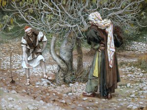 The Barren Fig Tree, ilustrace pro The Life of Christ, c.1886-94 (wc & kvaš na kartonu) od James Jacques Joseph Tissot