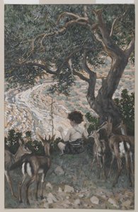 Dětství svatého Jana Křtitele, ilustrace ze Života našeho Pána Ježíše Krista (wc přes grafit na papíře) od James Jacques Joseph Tissot