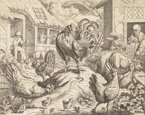 Kohout a drahý kámen, z Ezopových bajek, ca. 1760. od James Kirk
