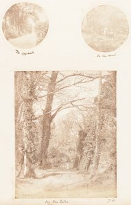 Přístup, v lese, u jezera, 1853-56.