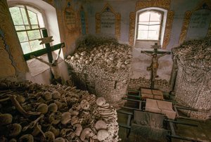 Lidské kosti z válek mezi Rakouskem a Pruskem v 18. století. Nížkov, Česká republika. od James L Stanfield