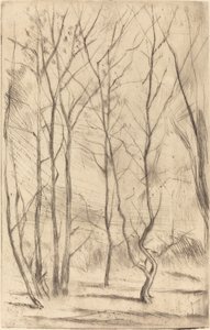 Přehradní les od James Abbott McNeill Whistler