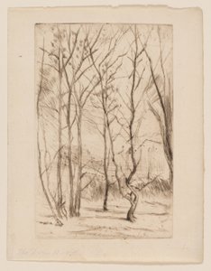 Přehradní les od James Abbott McNeill Whistler